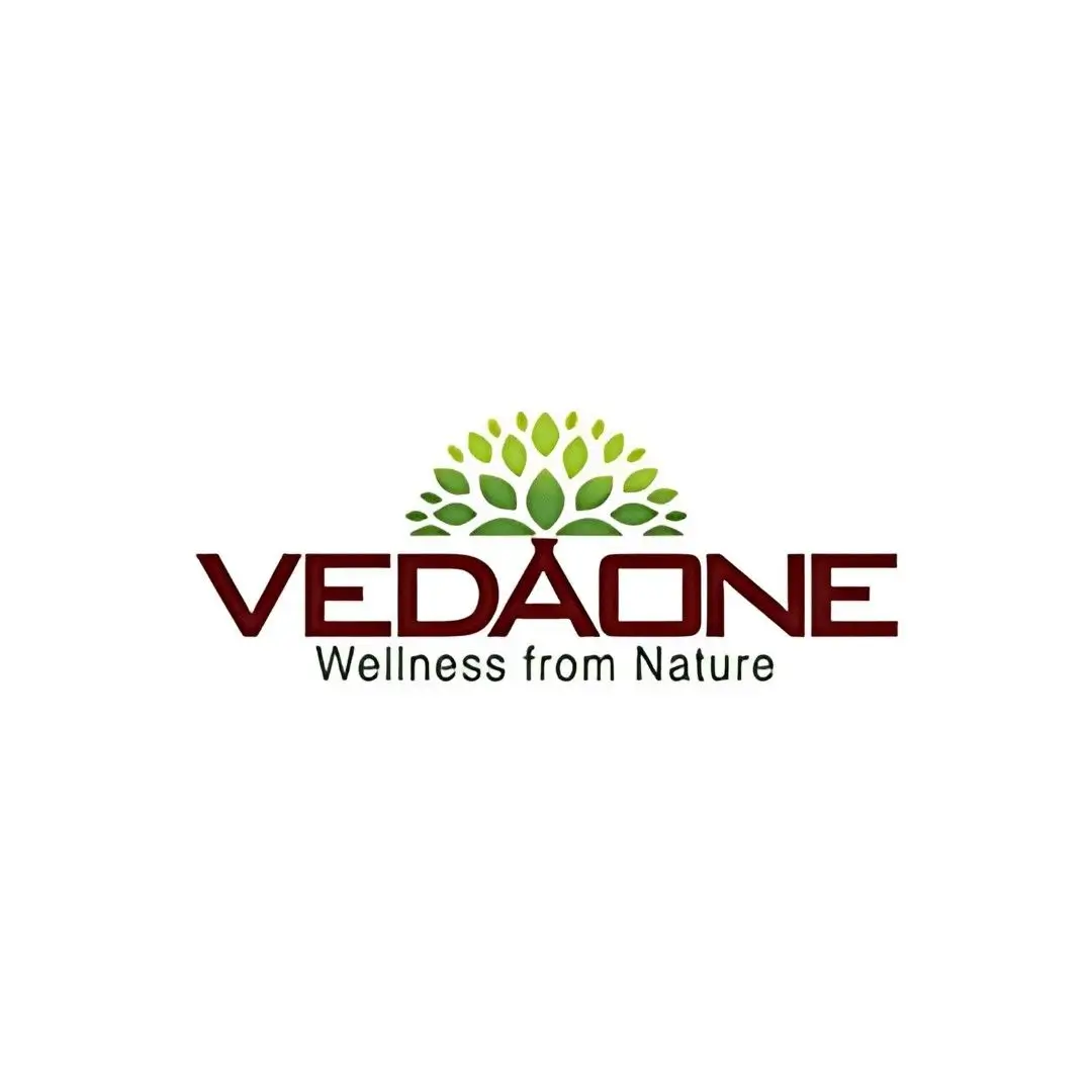 Vedaone - NoeticMinds client for AI-powered marketing automation and CRM integration